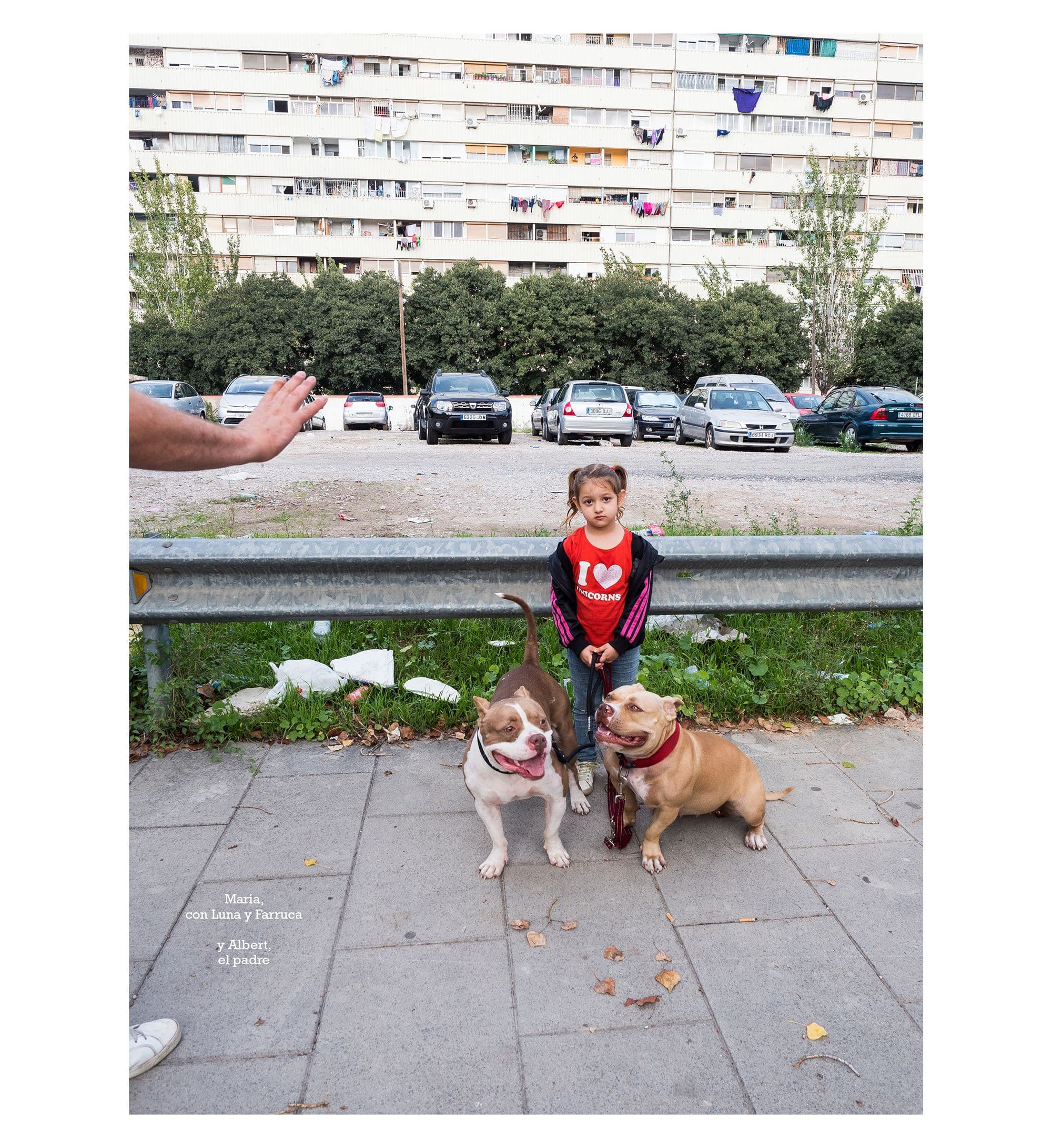 Eva Blanch Photobook Amor Perros 01